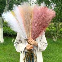 【DT】 hot  5Pcs 100/70cm Artificial Pampas Grass Bouquet New Year Holiday Wedding Party Home Decoration Plant Simulation Dried Flower Reed