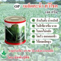 เมล็ดพันธุ์คะน้า ทวีโชค นำเข้าจากประเทศนิวซีแลนด์ ตรา ใบไม้ ขนาด 100 กรัม จำนวน 1 กระป๋อง จาก ไดนามิคพันธุ์พืช Chinese Kale seeds (Taweechoke) 100 grams imported from New Zealand by Dynamic Seeds