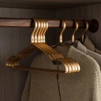 5pcs Matte Gold Hangers for Clothes Pants Storage Hanging Durable Coat Dress Hangers Closet Storage Organizer Space Saver Racks Clothes Hangers Pegs