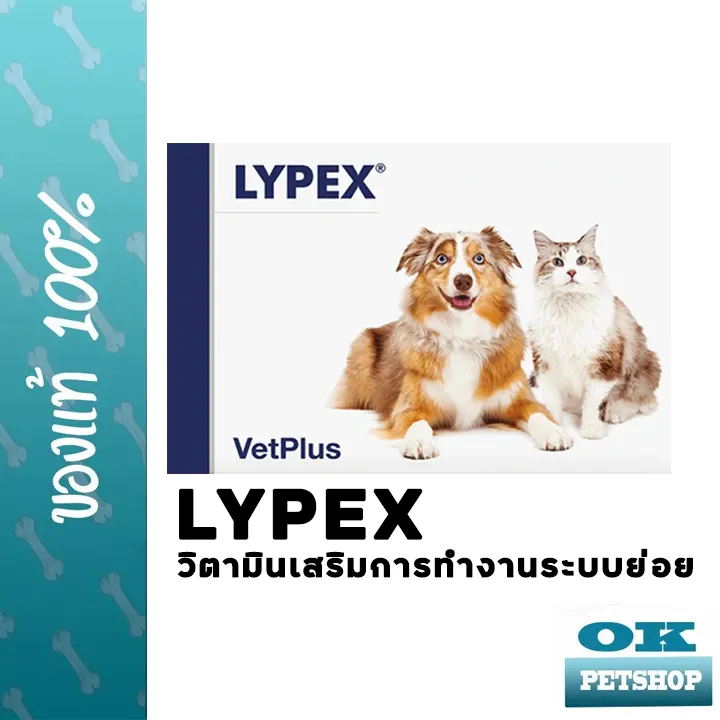 หมดอายุ3-2024 LYPEX เอมไซม์อาหารเสริมบำรุงตับอ่อน 60 เม็ด สำหรับสุนัขและแมว