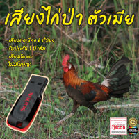 เสียงต่อ ไก่ป่าตัวเมีย ยาว6ชั่วโมง ไม่มีโฆษณา แฟลชไดร์ฟ(Flash Drive) มีเก็บเงินปลายทาง ส่งด่วนKerry Express