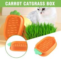 Cat Grass Planter Box Cartoon Carrot Hydroponic Cat Box Grass W2K8