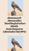 เสียงธรรมชาติ เสียงนกเหยี่ยว  ไล่นกไล่หนูในบ้านในนา เสียงชัด รับประกันคุณภาพ (เสียงต่อสัตว์ ไฟล์ MP3)