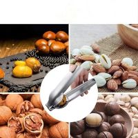 Stainless Steel Chestnut Walnut Dual use Opener Shelling Sheller Peeling Cross Tool Kitchen Utensils Utencilios Para La Cocina