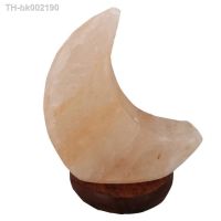 ┅❧❦ Night Lamp USB European Style Illumination Home Rose Night Light Ornament Salt Lamp for Household