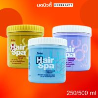 Berina Hair Spa PlusFruits Eztract เบอริน่า แฮร์ สปา แฮร์ทรีทเมนท์ครีม ผสมผสารสกัดจากผลไม้ 250/500g.