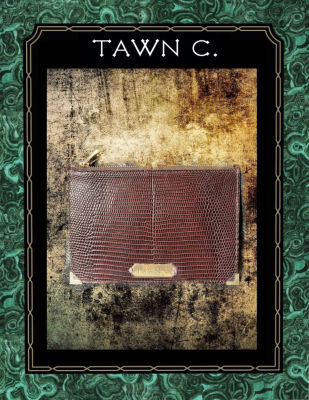 TAWN C. Exotic Skin Accessory &amp; Stationary Collection - Lizard Skin, Large Envelop Pouch in Ebony Brown