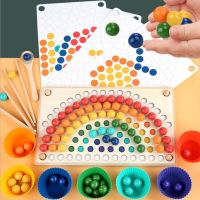 Montessori Sensorial Material Toy - Wooden Gradient Color Learning Matching Kids Preschool Kindergarten Education Toys