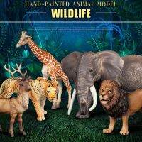 ﹉♝ Simulation Wild Animal Elephant Lion Graffe Brown Bear Action Figures Wildlife Sika Deer Hippo Zebra Crocodile Figurines Kid Toy