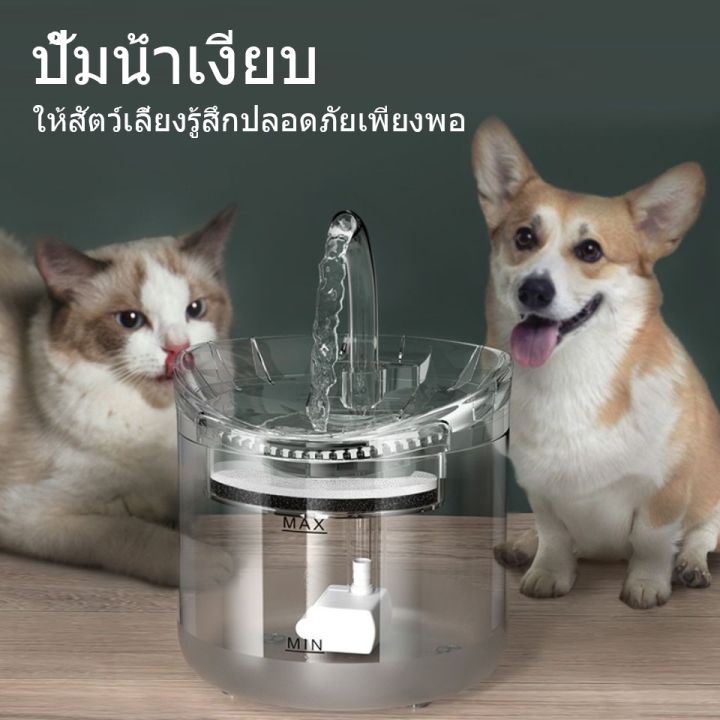 น้ำพุแมว-น้ำพุแมวใส-น้ำพุแมว-น้ำพุดื่มอัตโนมัติ-น้ำพุแมว