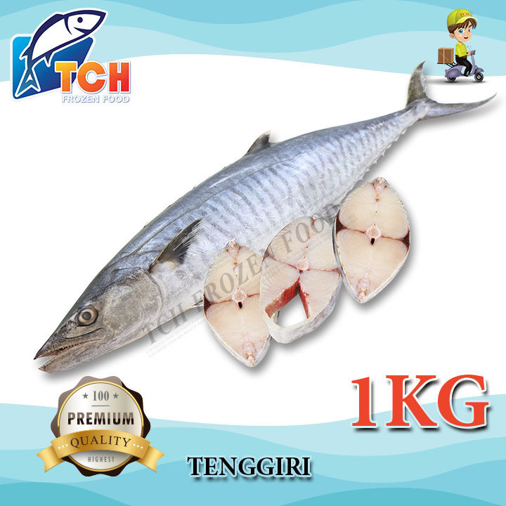 Ikan Tenggiri Tch Frozen Food Fresh Frozen Seafood Wholesale