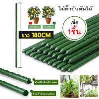 ไม้ค้ำยันต้นไม้ ไม้ค้ำต้นไม้ ค้างต้นไม้ ซุ้มต้นไม้ ค้างผัก plants support stick หนา 11 มม. ยาว 60 - 180 ซม.ปลูกเถาไม้เลื้อยในสวน พุ่มดอกไม้