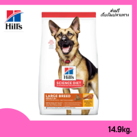 ?จัดส่งฟรี Hill’s Science Diet Canine Adult 6+ Large Breed อาหารสำหรับสุนัขพันธุ์ใหญ่ อายุ6ปีขึ้นไป ขนาด33ปอนด์ (14.9กก.) เก็บเงินปลายทาง ✨