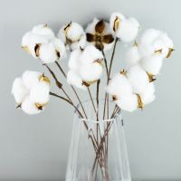 5/10pcs Naturally Dried Cotton Flowers White Home Decorative Artificial Floral Branch Wedding Bridesmaid Bouquet Decor Fake White Flower
