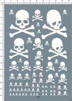 Universal Bone Skull Marcross White Model Kit Water Decal