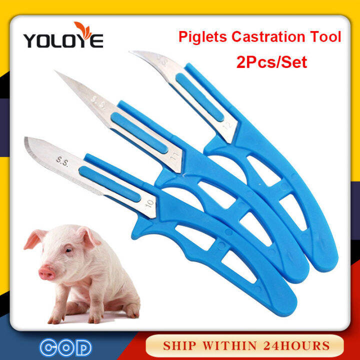 2Pcs Pig Castration knife Mini Piglets Castration Tool for Veterinary