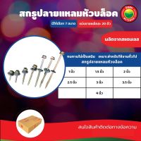 สกรูปลายแหลม หัวบล็อค แพ็คละ 20 ตัว ขนาด 1, 1.5, 2, 2.5, 3, 3.5, 4 นิ้ว SELF DRILLING SCREW สกรูยึดลอนคู่ ยึดหลังคา สกรูปลายแหลม สกรูหัวบล็อค มิตสห Mitsaha