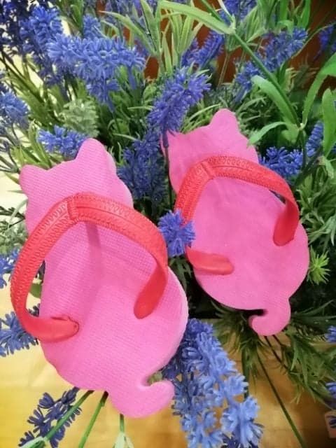 flipflop-รองเท้าเด็ก-อนุบาล-แตะแมว-สีชมพู-อายุ-3-6-ขวบ-4-ขวบ