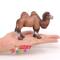 Monkey Toys - โมเดลสัตว์ Camel อูฐ สองหนอก ขาลาย ขนาด 12.50 CM (จากหาดใหญ่)