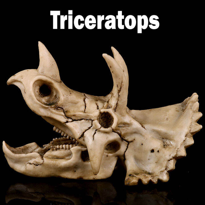 japan-โมเดล-หัวกะโหลก-triceratops-ไทรเซอราทอปส์-ไดโนเสาร์-dinosaur-สุดโหด-วัสดุ-เรซิ่น-resin-กะโหลกผี-skull-ตกแต่งบ้าน-ปาร์ตี้ฮาโลวีน-halloween-โครงกระดูก-หัวกะโหลกจำลอง-ของขวัญ-gift-limited-edition-ข