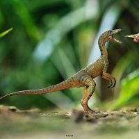 ชุดไดโนเสาร์ยุคจูราสสิก Compsognathus ของเล่นโมเดลทำมือของขวัญสำหรับเด็ก