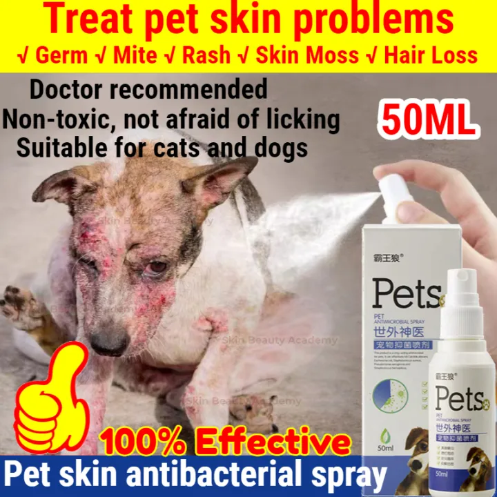 🐶Doctor Recommended😻 50ml Pet Skin Treatment Spray Pet Skin Care Spray ...