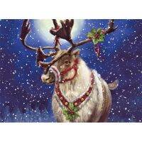 Christmas Ball With Snow Printed Fabric 11CT Cross-Stitch Embroidery Patterns DMC Threads Knitting Handicraft     Counted