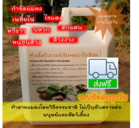 หัวเชื้อบิวเวอร์เรีย+เมธาไรเซียม(กำจัดเพลี้ย+แมลง) 1 ลิตรผสมน้ำใช้ได้เลย