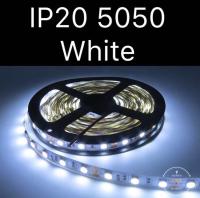 RXC ไฟเส้น LED IP20 5050 12V. 60LED/M White