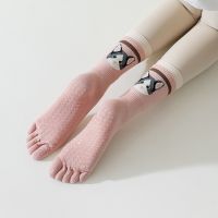 1 Pair Women Yoga Socks Cartoon Anti Slip Silicone Gym Pilates Ballet Fitness Sport Socks Cotton 5 Finger Protector Quick-Dry Socks Tights