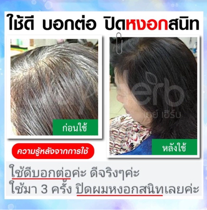 ชุด-1-แถม-1-dayherb-แชมพูปิดผมขาว-สมุนไพรแท้-ปิดหงอก-ลดหงอก-ผมดำใน-5-นาที