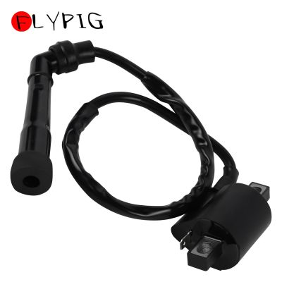 FLYPIG Motorcycle Ignition Coil for Yamaha Grizzly 660 YFM660 YFM 350 2002 2003 2004 2005 2006 2007 2008 Bear Tracker ATV Parts