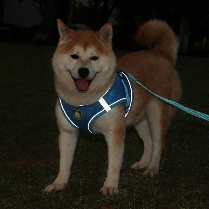 pet-harness-traction-rope-suit-vest-style-chest-strap-breathable-heat-dissipation-reflective-chest-and-back-adjustable-size