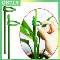 5/10pcs plant Flower Potted Support stand Holder Stake Stander Fixing Tool Gardening Supplies Shrub for Orchid Bonsai Daisy q1 QB7LA Shop