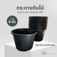 กระถางต้นไม้ 6" เลือกจำนวนในตัวเลือก แบบหนา กระดางดำ กระถางต้นไม้ กระถางพลาสติก