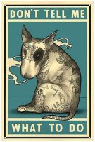 Bull Terrier Metal Tin Sign Dont Tell Me What to Do Wall Decor Retro Bar Pub Diner Bathroom and Room Art Poster Iron Poster