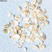 1bag(30g) Small Miscellaneous Conch Natural Craft Sea shell Aquarium Fish Tank Landscape Home Decor DIY bottle