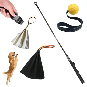 Durable Dog Toy for Fun Obedience Training & Exercise Flirt Pole - China Dog  Flirt Pole and Flirt Pole Dogs price