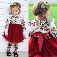 goodlooks.my Toddler Kids Baby Girls Floral Long Sleeve Tulle Tutu Skirts Dress