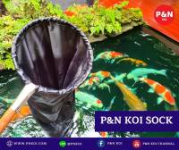 P&amp;N Koi Sock ที่ช้อนปลา เกรด Premium