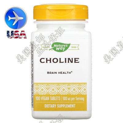Spot American Natures Way Choline CHOLINE Brain Health 500mg 100 Tablets