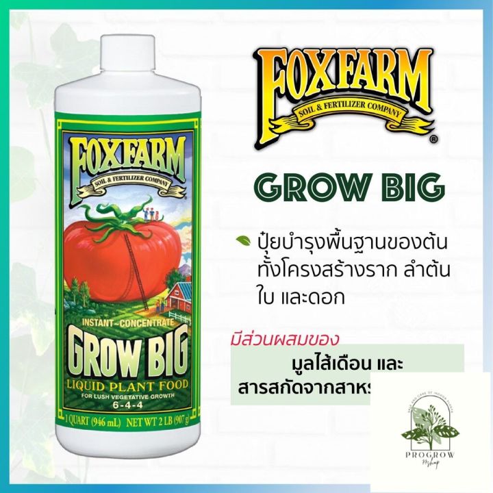 ready-stock-fox-farm-grow-big-6-4-4-ขนาดแบ่งขาย-100-250-500mlมีบริการเก็บเงินปลายทาง