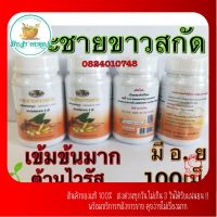 BestHerbs กระชายขาวผง ผงกระชาย ตราแม่-กุหลาบ (ห้าม้า)?ชนิดบรรจุ?แคปซูล?100?แคปซูล?มีอย?แท้100%