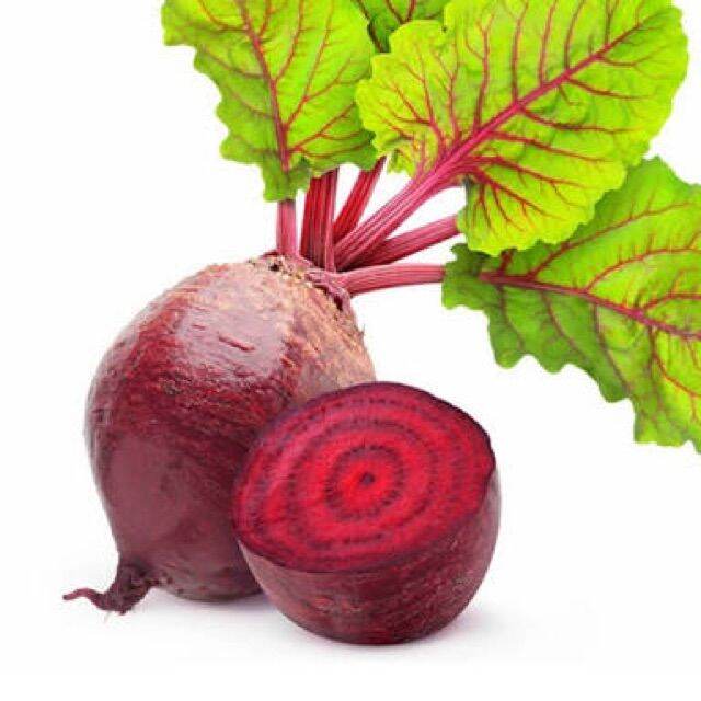 Red sugar round beets cylindra root crop vegetable seeds Lazada PH