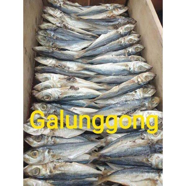 Dried Galunggong Fish 500g Lazada Ph