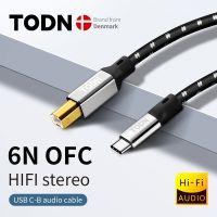 สาย Usb Dac Todn ชนิด C เป็น Type B 6N สายสเตอริโอไฮไฟสายเคเบิลดิจิตอลข้อมูล OFC สำหรับโทรศัพท์มือถือ Dac