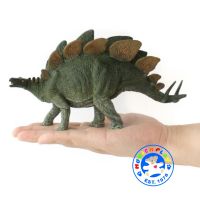 Munich Play - โมเดล ไดโนเสาร์ Stegosaurus เขียว ขนาด 20.00 CM (จากหาดใหญ่)