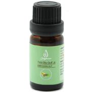 JULYHOUSE Cinnamon Massage Essential Oil 10ml