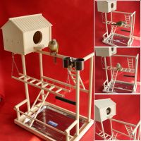 40x26x38cm DIY Wooden Parrot Playground Bird Perch With Swing Ladders Feeder Tray Bird Play Game Stand Bird Breeding Nest F5047