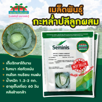 กะหล่ำปลี Tropic Sun Plus 25กรัม Seminis เมล็ดกะหล่ำปลี Cabbage Seminis